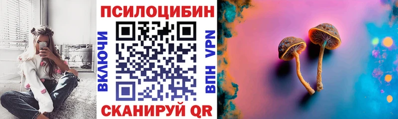 закладки  Сысерть  Псилоцибиновые грибы Psilocybe 